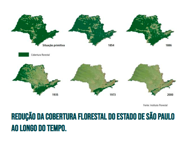 mapa cobertura florestal São Paulo